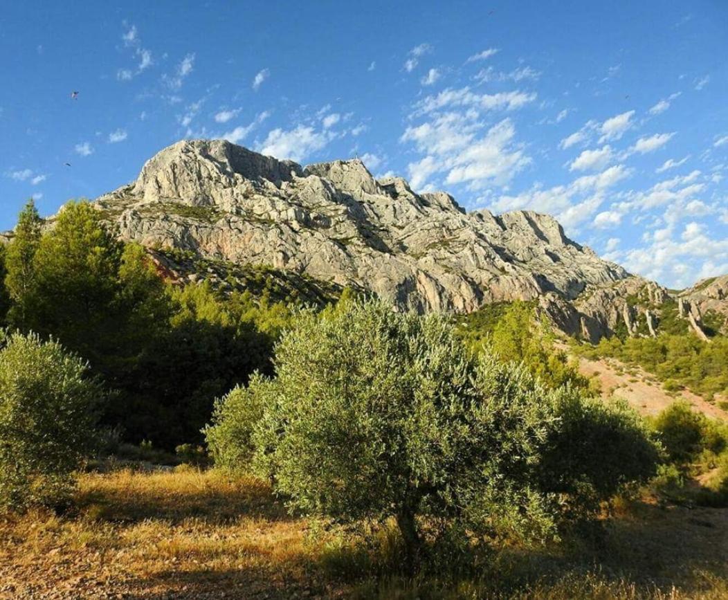 Chambre D'Hotes Le Secadou La Ciotat Exteriér fotografie